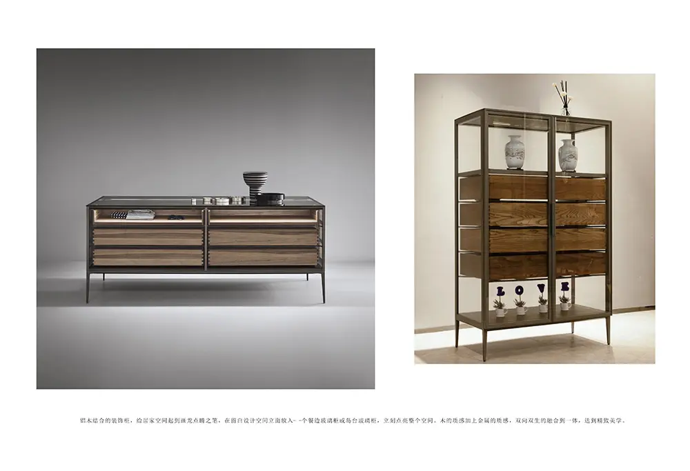 Cabinet of living room systems (6)cvp