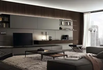 Cabinet of living room systems